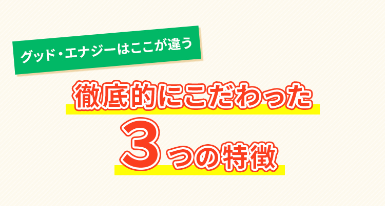 グッド・エナジーはここが違う徹底的にこだわった３つの特徴