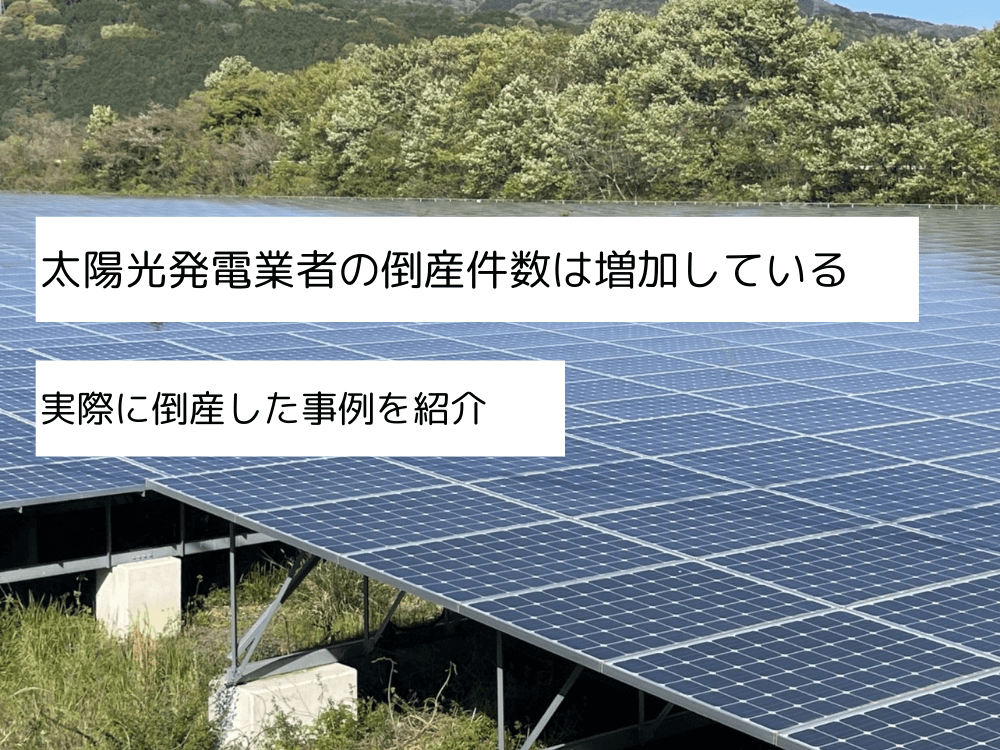 太陽光発電の企業の倒産は増加している？件数や理由をわかりやすく解説