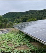 栃木県Ｍ様の太陽光発電所を買取しました！