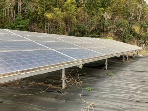 茨城県Ｍ様の太陽光発電所を買取しました！