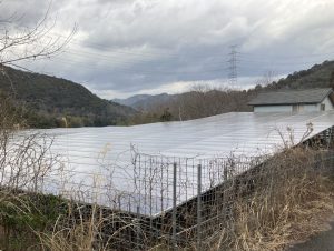 兵庫県Ｋ様の太陽光発電所を買取しました！