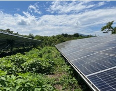 茨城県Ｍ様の太陽光発電所を買取しました！