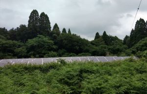 鹿児島県Ｆ様の太陽光発電所を買取しました！