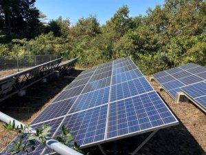 熊本県Ｈ様の太陽光発電所を買取しました！