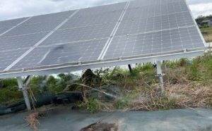 鹿児島県Ｍ様の太陽光発電所を買取しました！