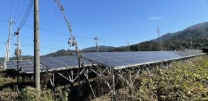 京都府Ｍ様の太陽光発電所を買取しました！