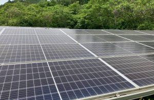 福島県Ｄ様の太陽光発電所を買取しました！